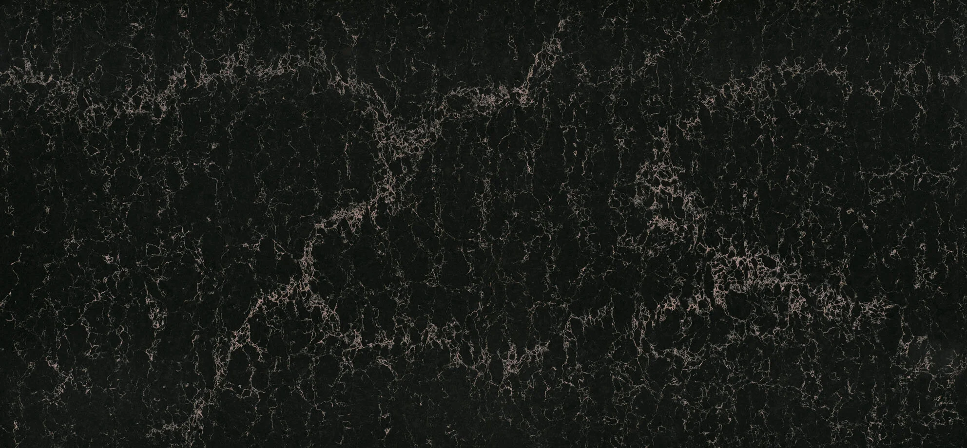 5100 Vanilla Noir.jpg