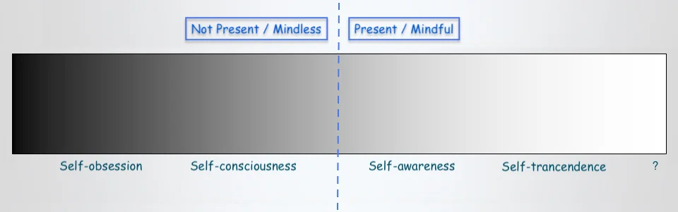 Self-Spectrum no lines version.jpg