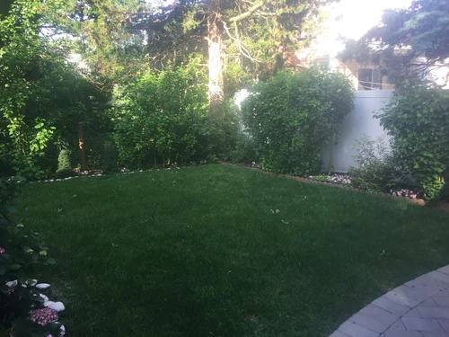 Creating a Backyard with Wonder and Discovery