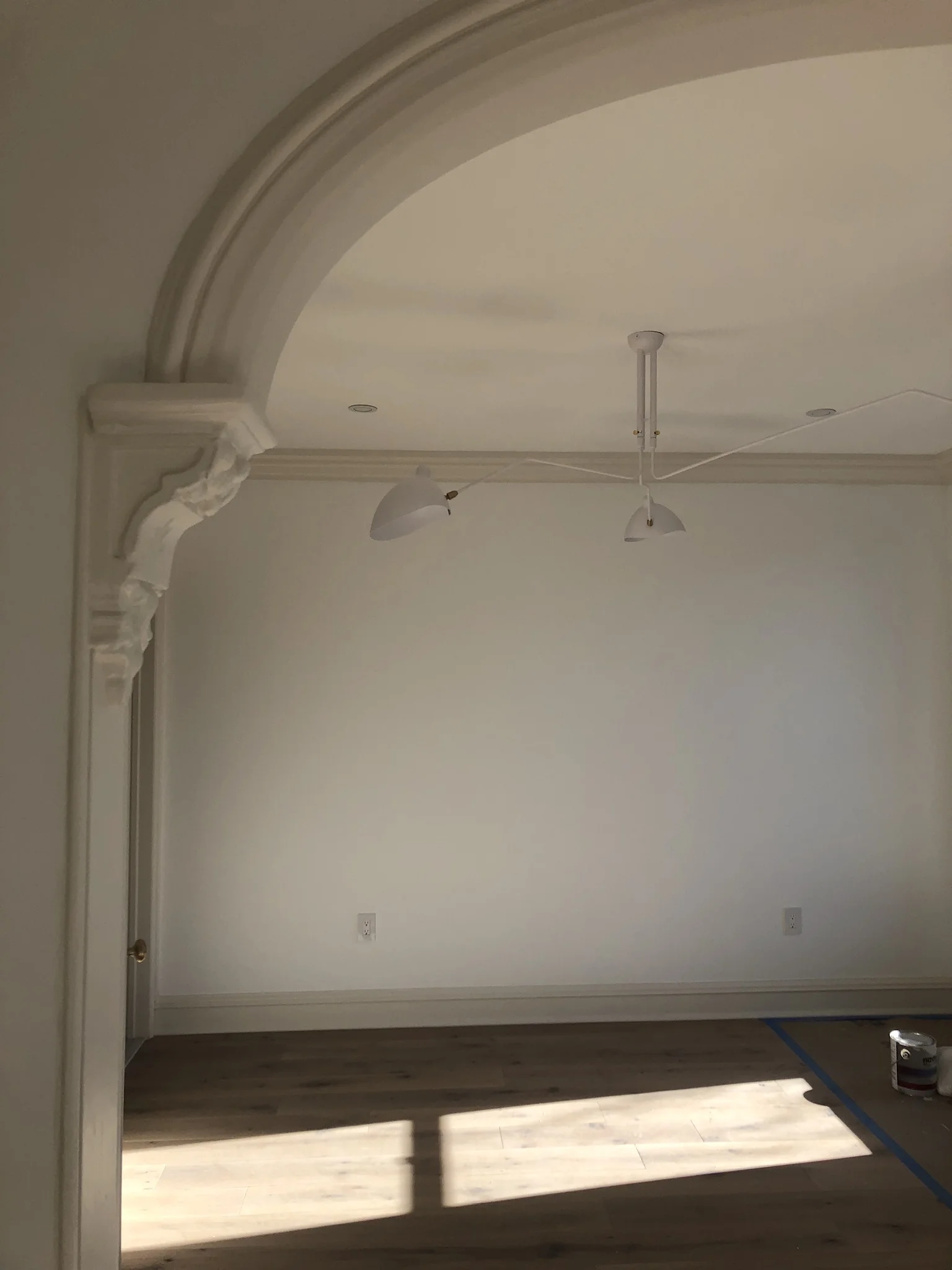 website - IMG_2217.JPEG