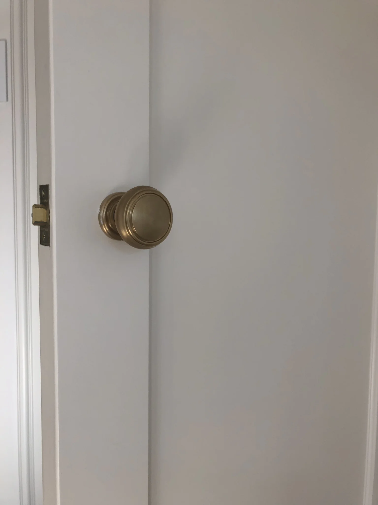 website - IMG_2230.JPEG