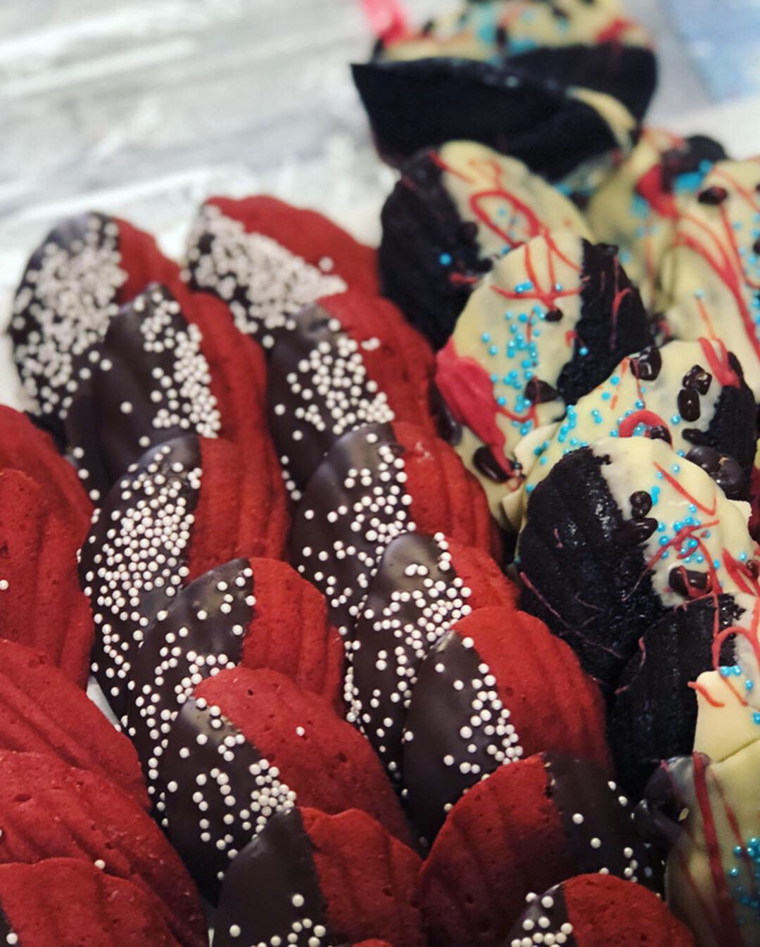 F48C73C7-FD3E-47C1-845C-39F02ACBF36D 3.JPG