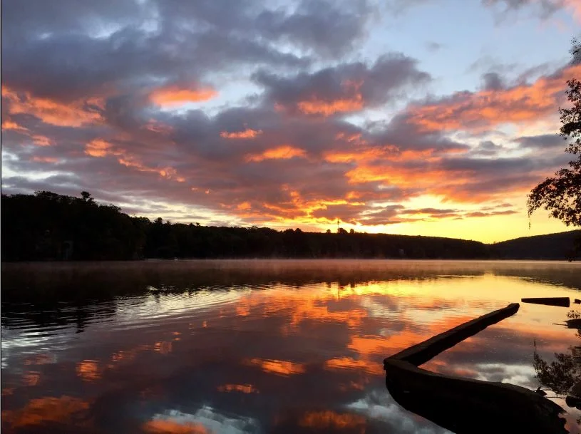 Susan Wernau photo.JPG