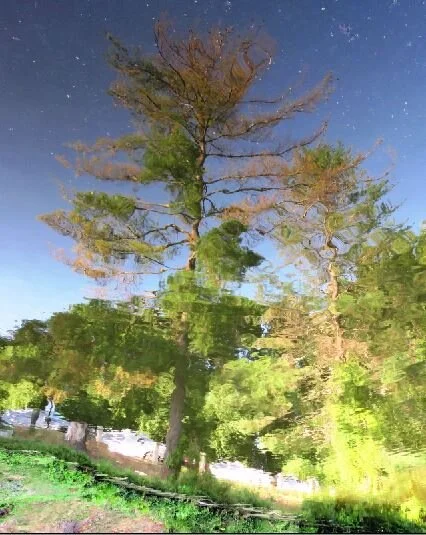 Paula McDonagh Photo 4.JPG