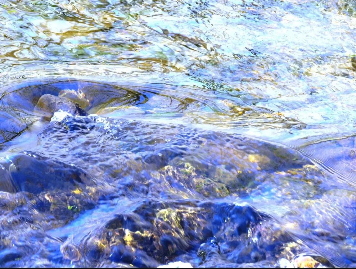 Paula McDonagh Photo 5.JPG