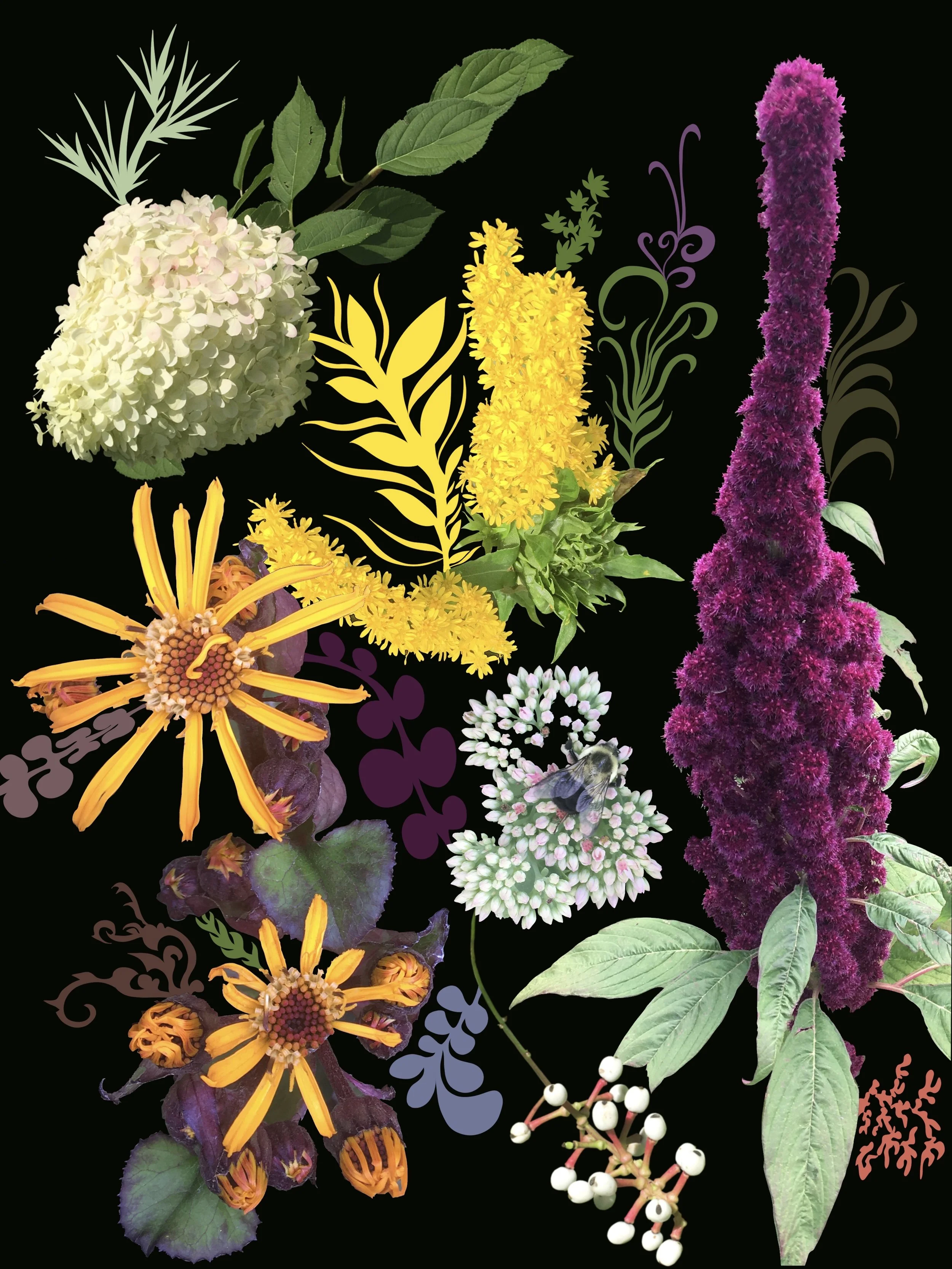 Matthew DeTroy art image 1.jpeg