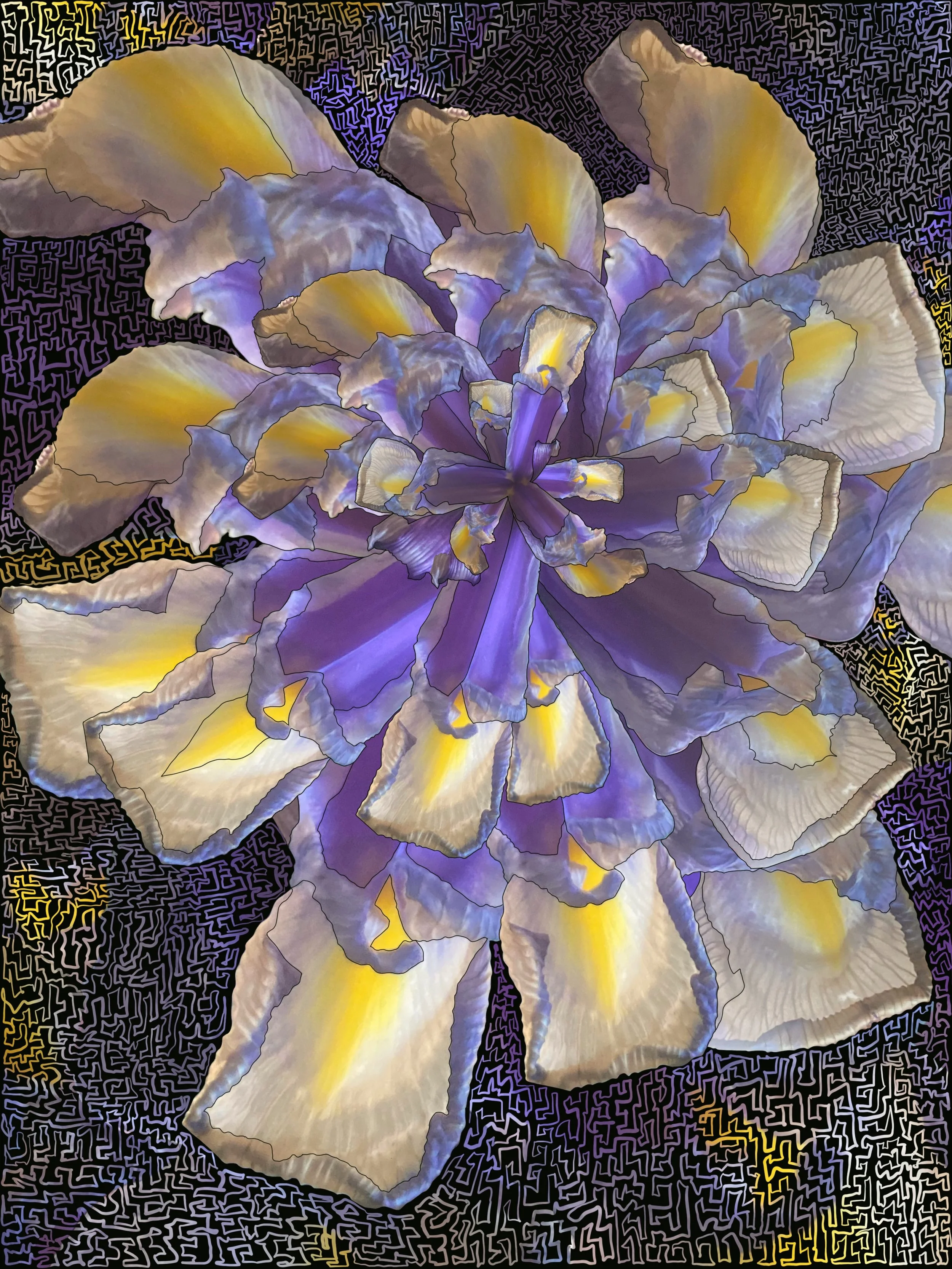 Matthew DeTroy art image 2.jpeg