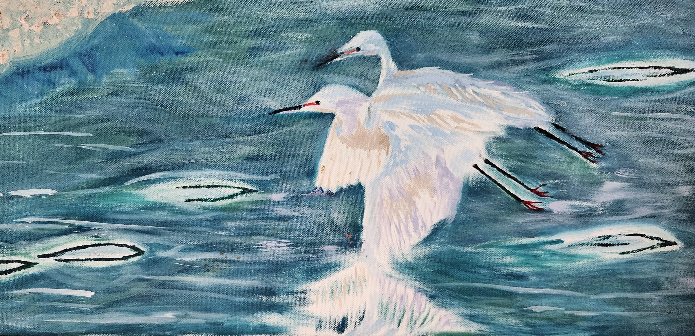 Egrets Over Water_eva rogoff.jpg