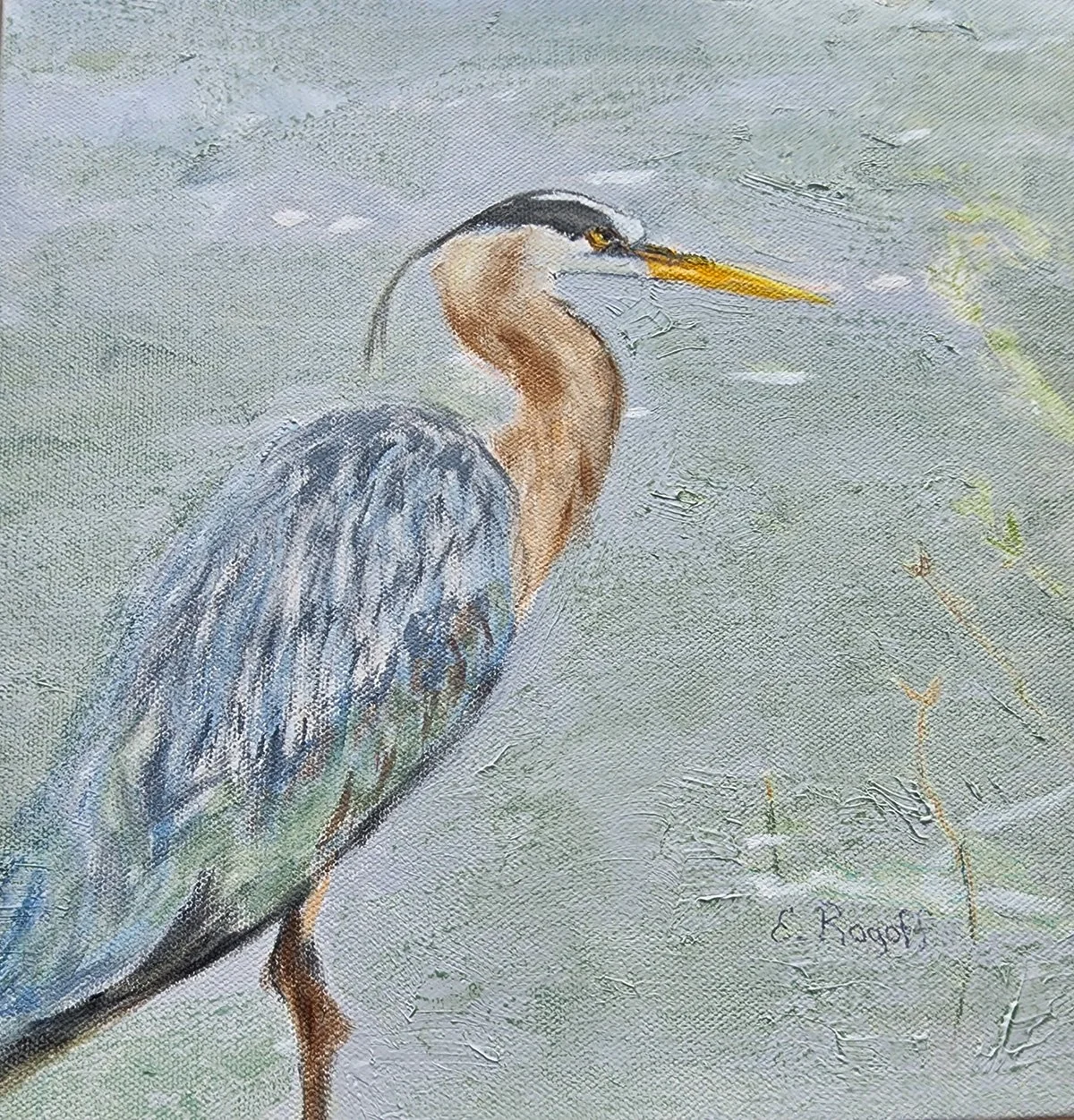 Eva Rogoff Great Blue Heron 2A.jpg