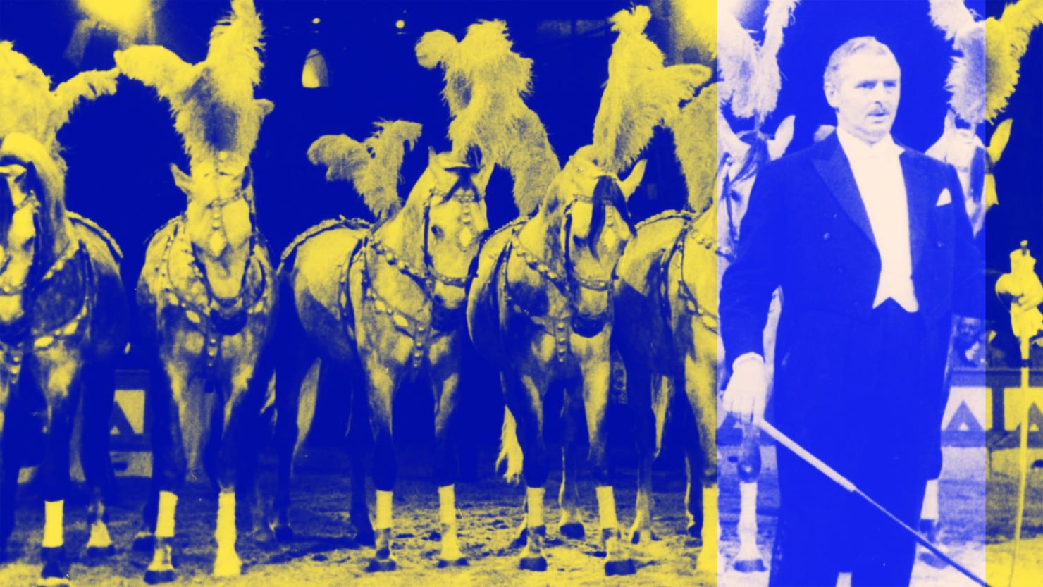 The Daily Beast