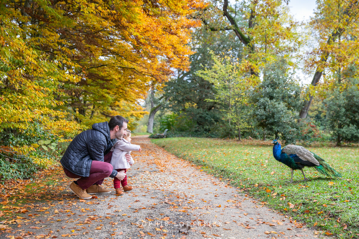 séance famille - lifestyle -sophie lottefier photography-1-10.jpg