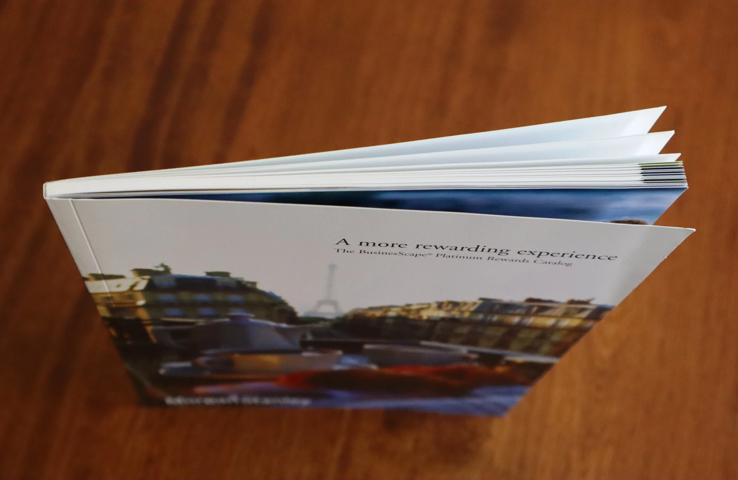 BusinessScape_Rewards_Catalog_Cover_2.jpg