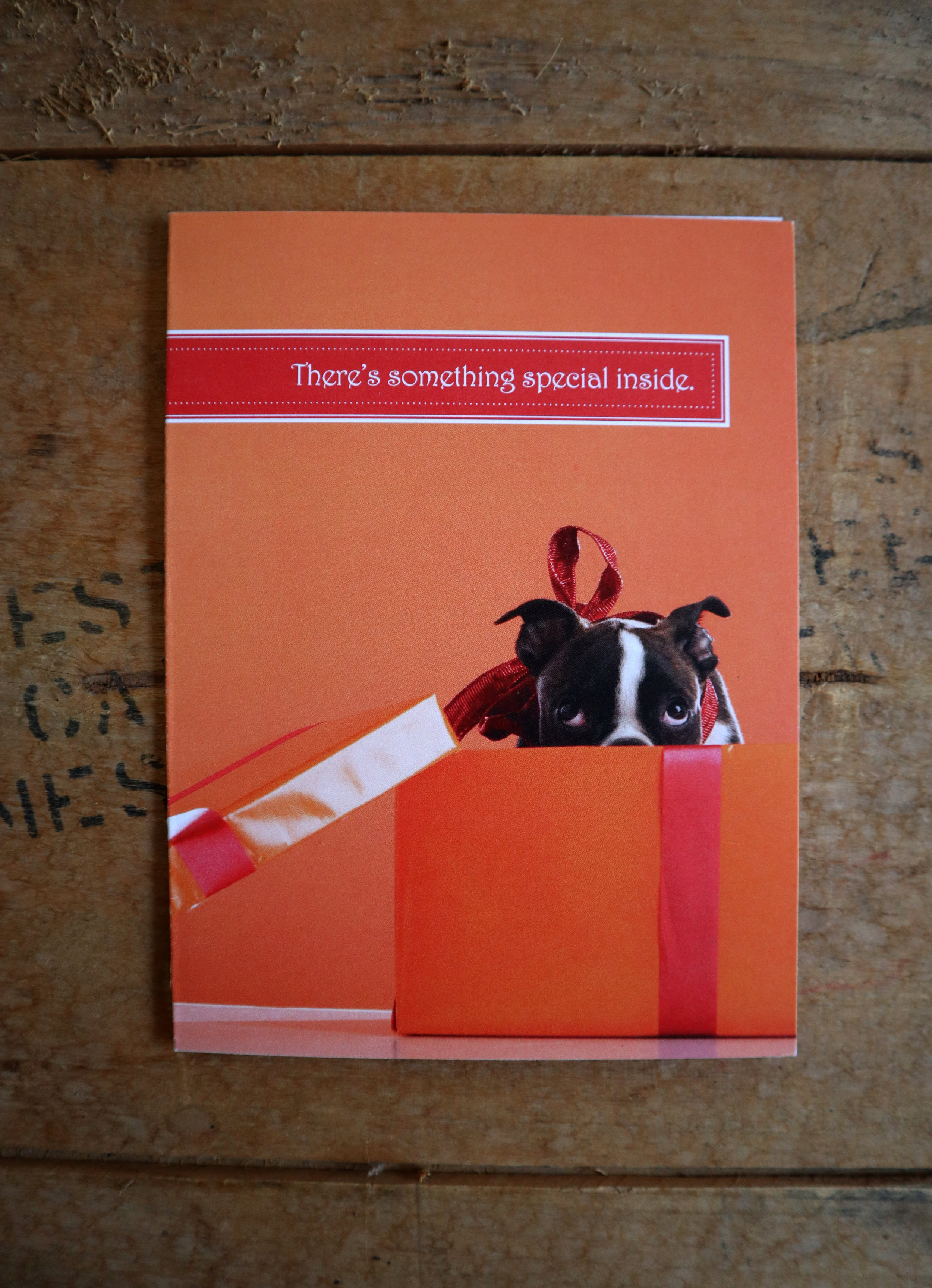 Pup_Greeting_Card.jpg
