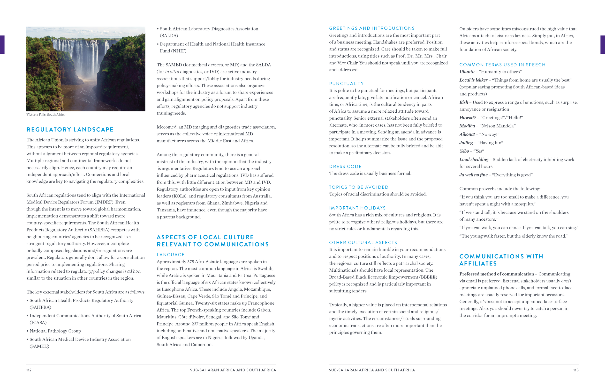 Abbott Regulatory Affairs Handbook_Page_59.png