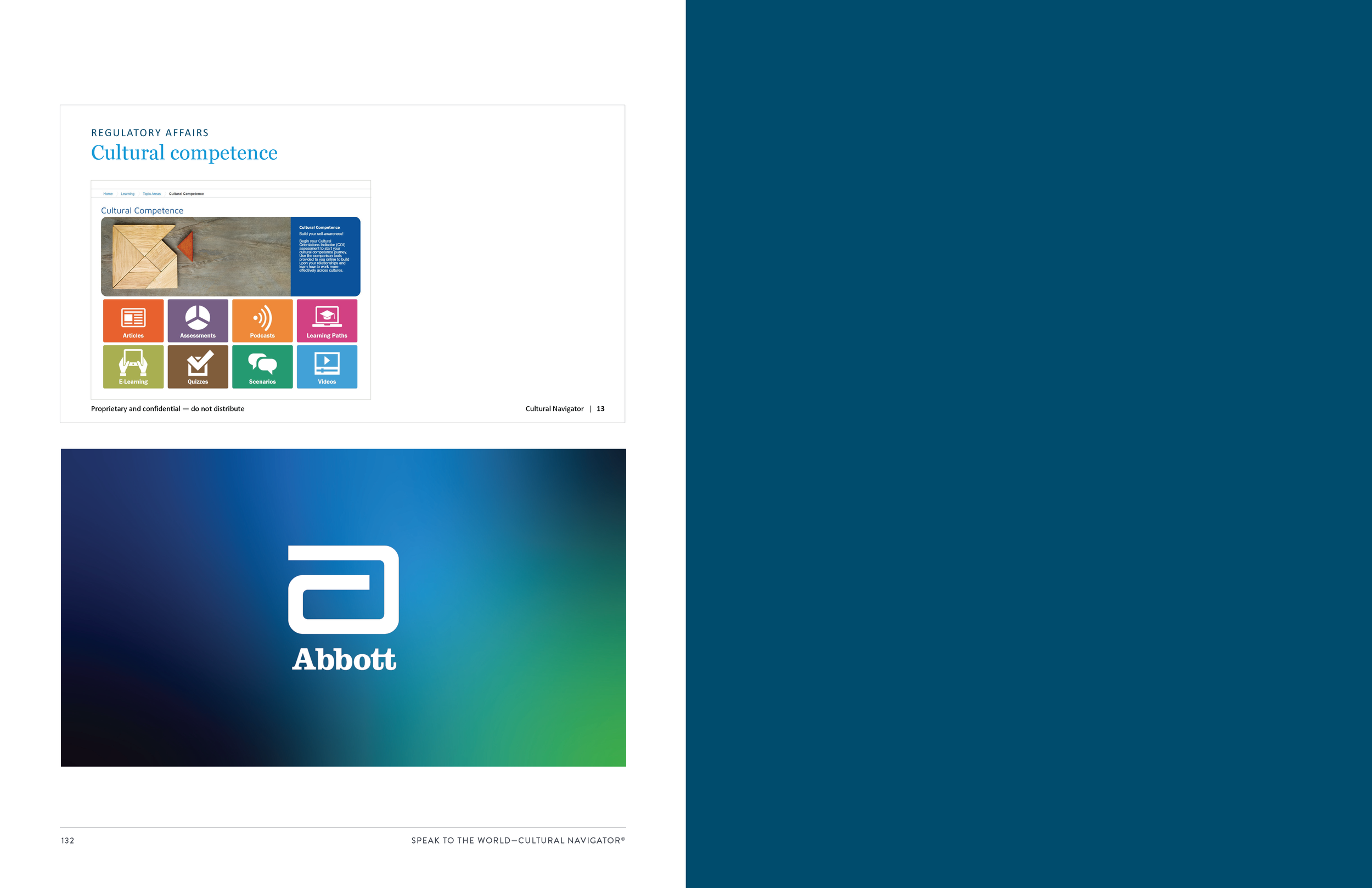 Abbott Regulatory Affairs Handbook_Page_69.png
