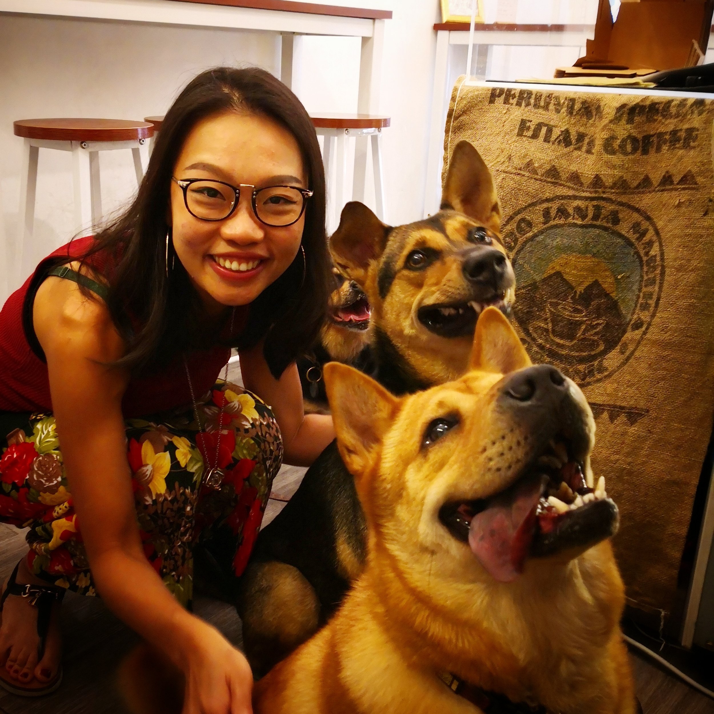 Regular Customers 3 Cute Dogs — ALL DAY SKETCHES