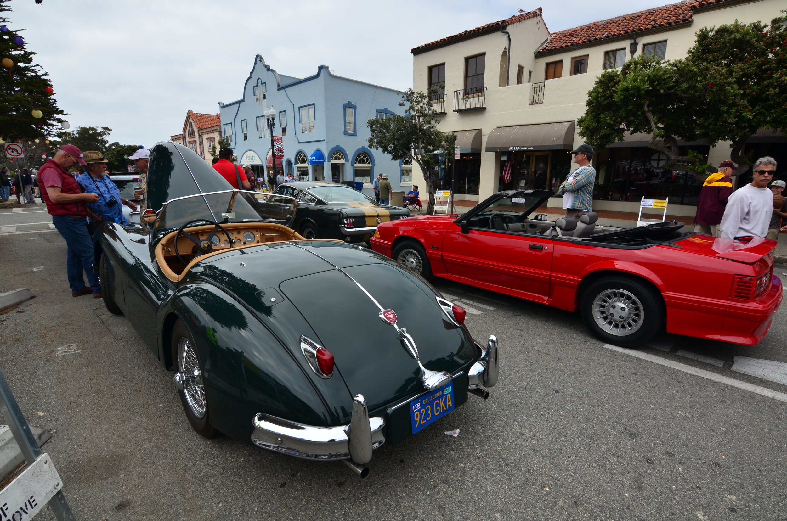 DSC_3616.jpg