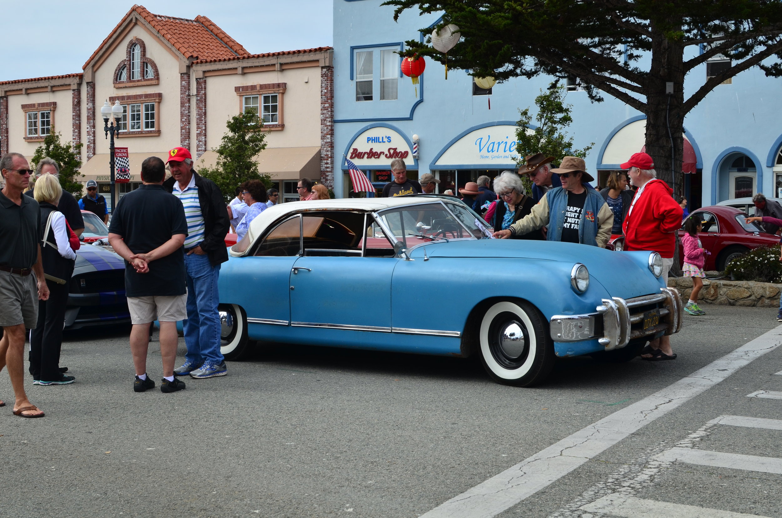 DSC_3751.jpg