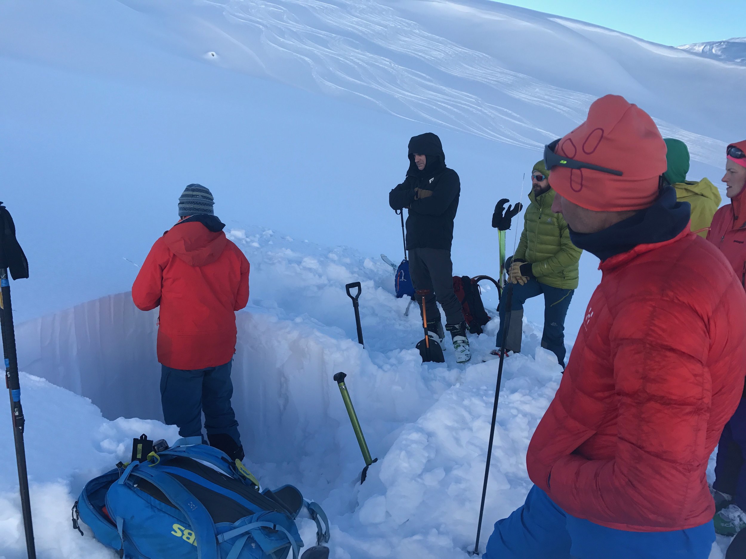 Avalanche-Geeks.jpeg