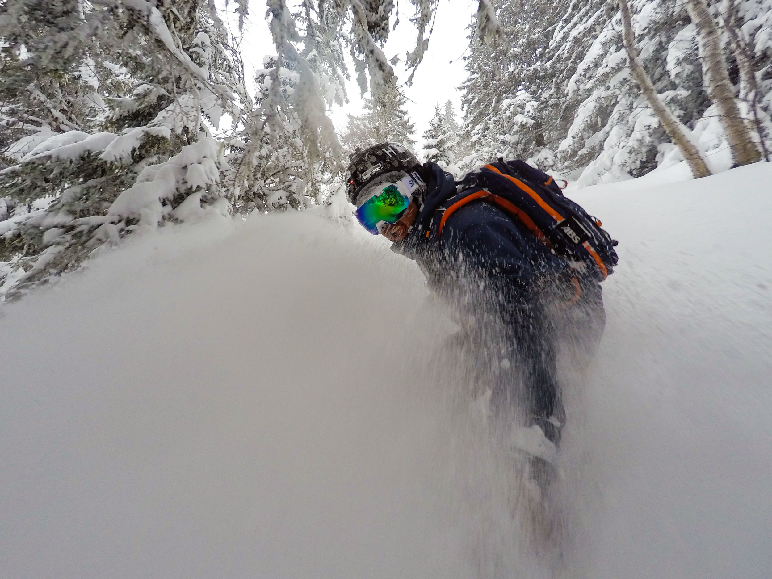 How_To_XV_Ride_Trees-3.jpg