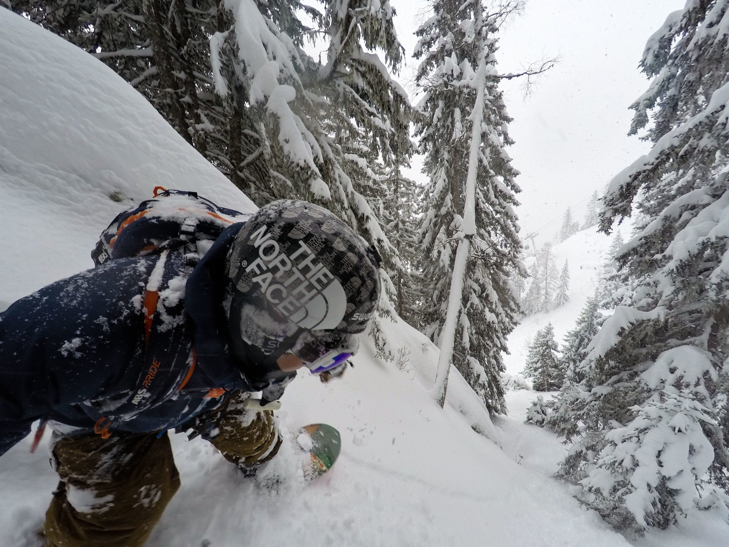 How_To_XV_Ride_Trees-2.jpg