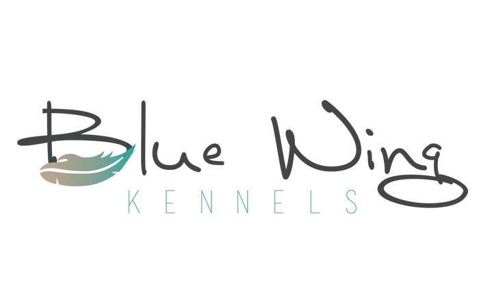 bluewing_logo.png