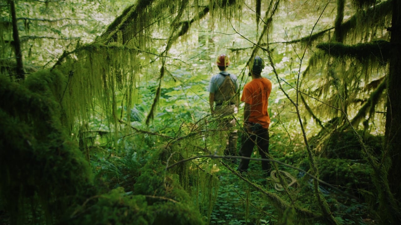 Restoring Fish Habitat (Director, Editor)