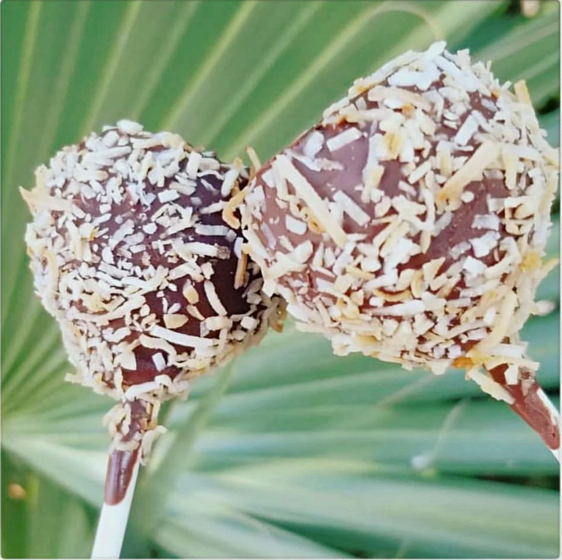Coconut Fudge Vegan .jpg