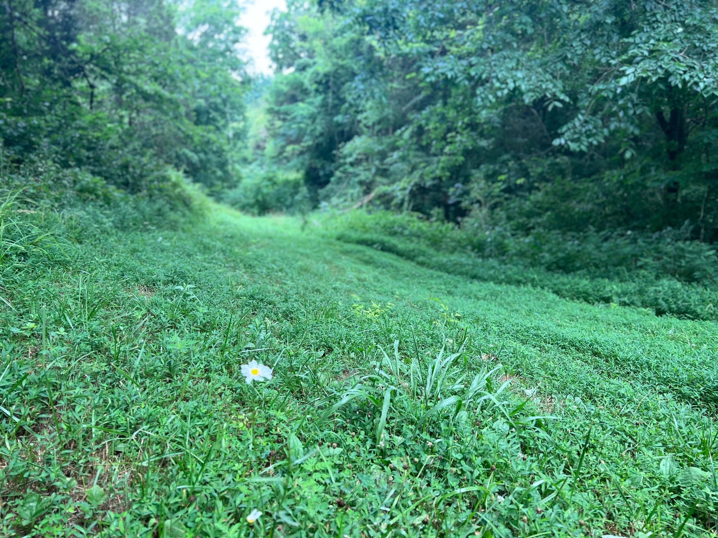 IMG_6822.jpeg