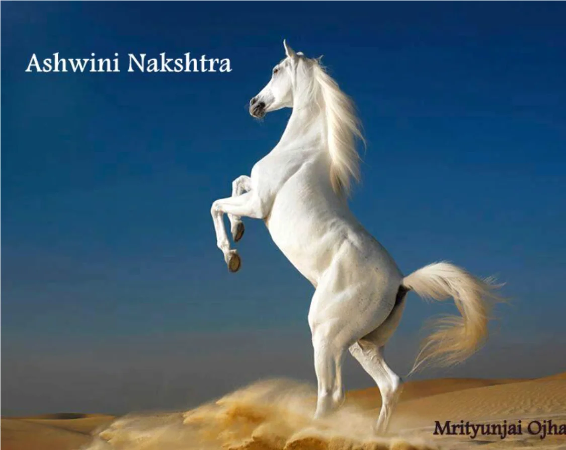 FULL MOON OCTOBER  2018