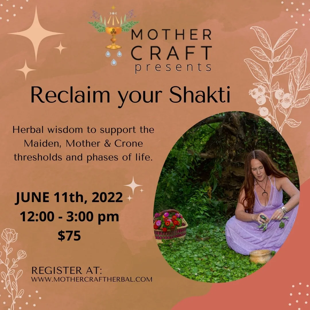 RECLAIM YOUR SHAKTI JUNE 11th 12pm-3pm