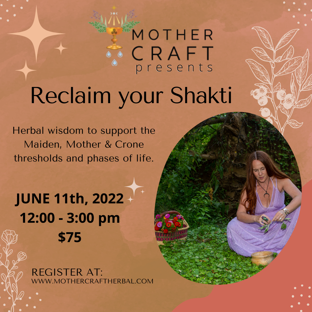 RECLAIM YOUR SHAKTI JUNE 11th 12pm-3pm (register in shop)