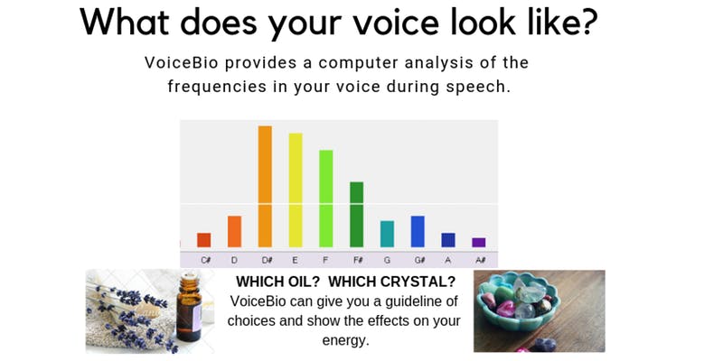 What Does Your Voice Look Like?