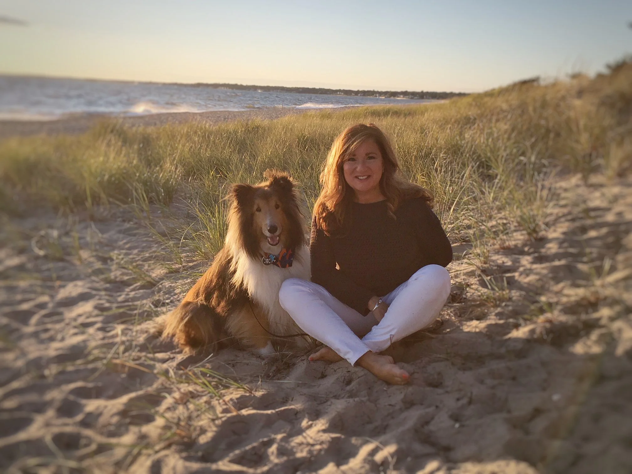 ZenZu Animal Communication and Energy Work