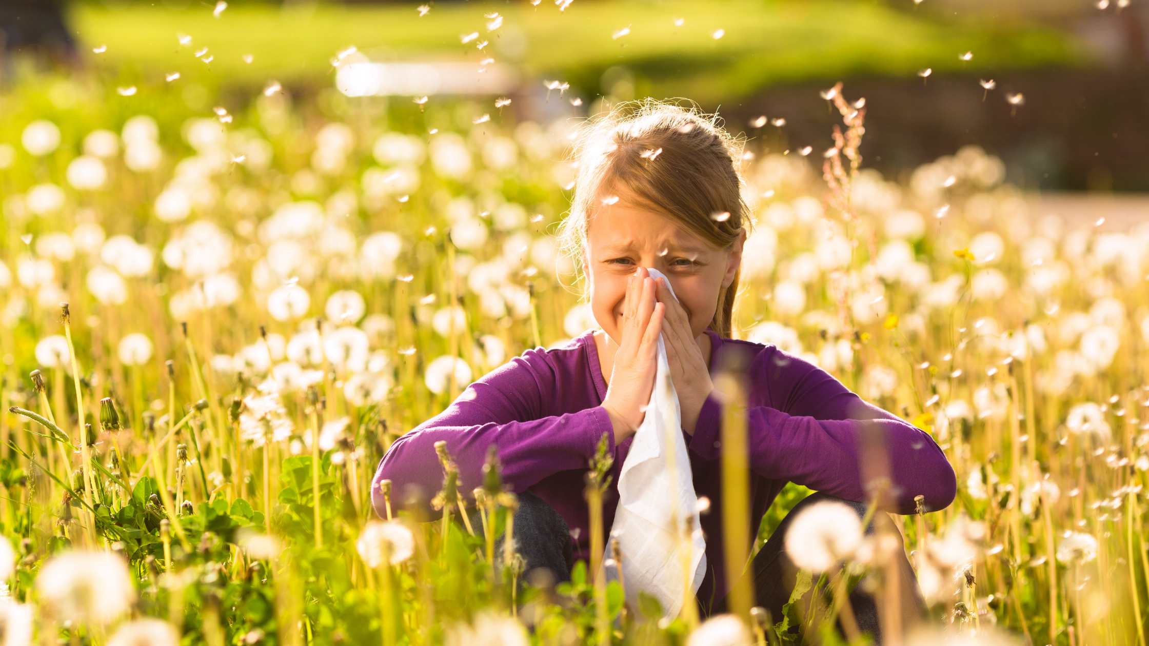5 Tips to Treat Seasonal Allergies