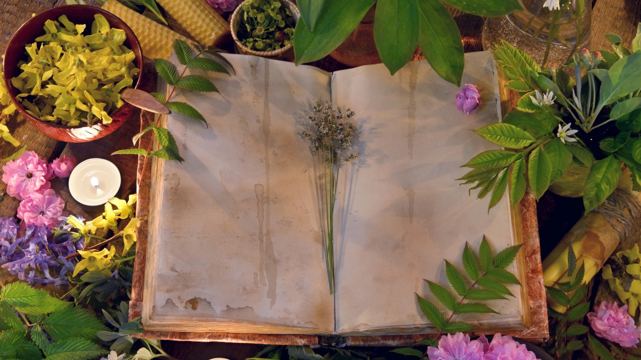 Magickal May Series