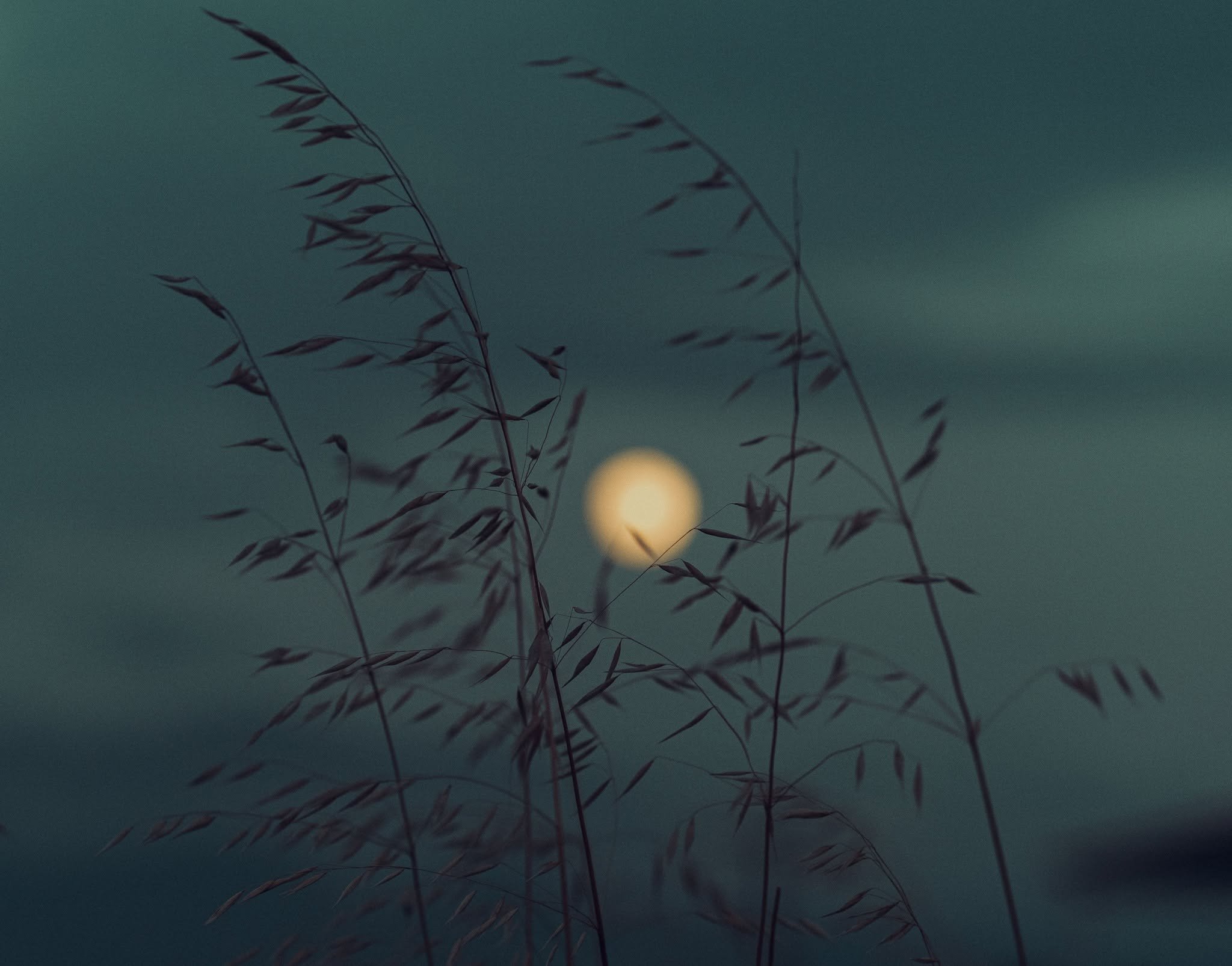 Full Corn Moon in Aries-Salt, Sound, & Reiki Activation