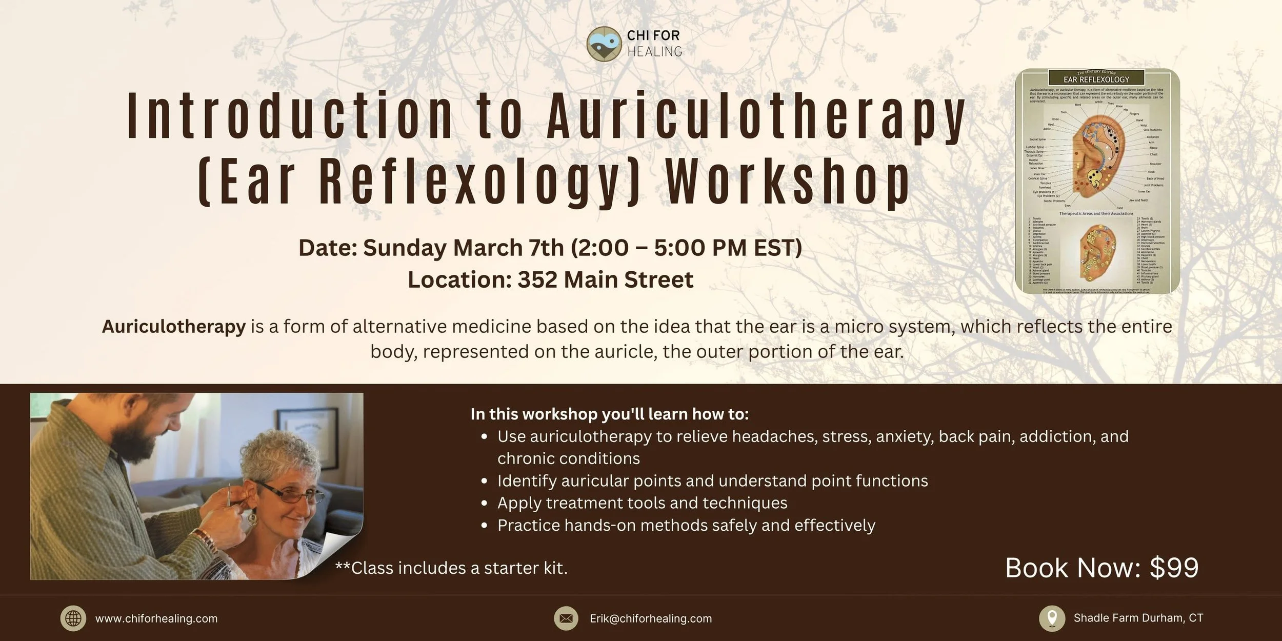 Introduction To Auriculotherapy (Ear Reflexology) Workship
