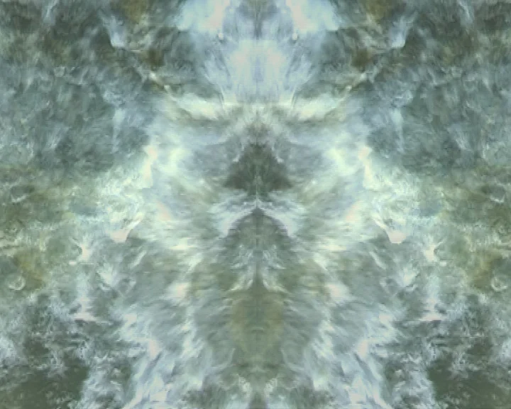 Opus1_02.jpg