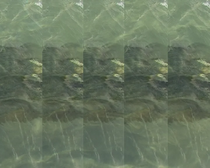 Opus1_03.jpg