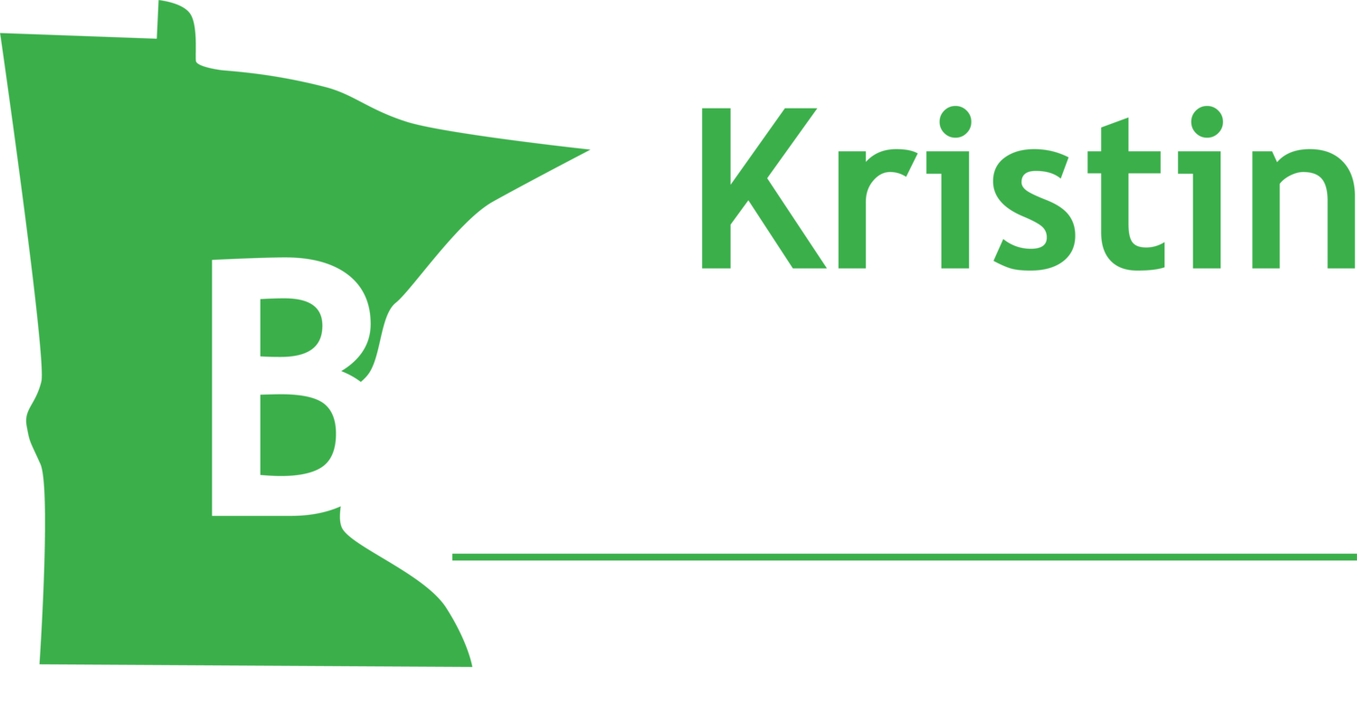 Kristin Bahner for State Representative 