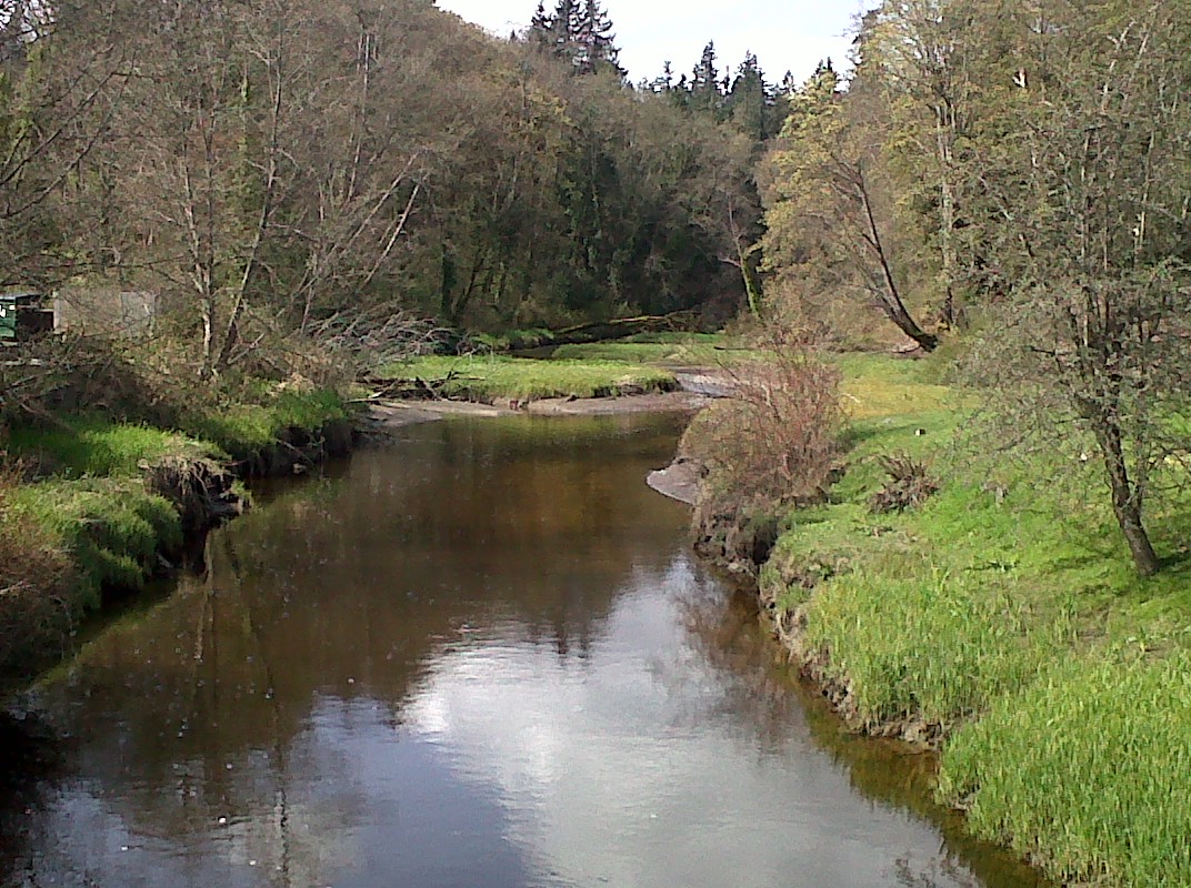 Port Orchard - Blackjack Creek Trail.jpg