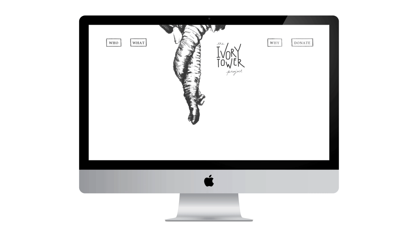 website-animation.gif