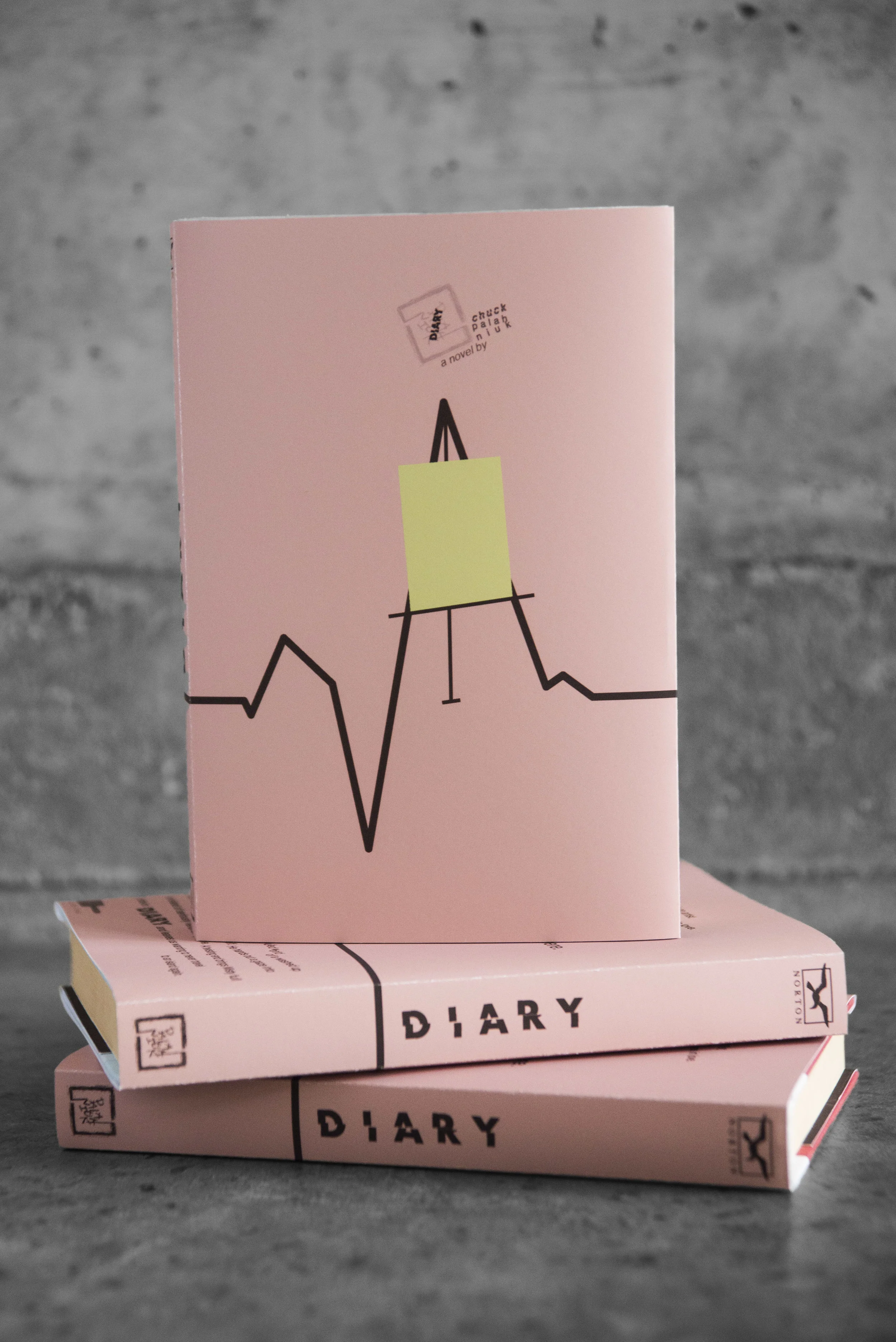 diary stand up.jpg