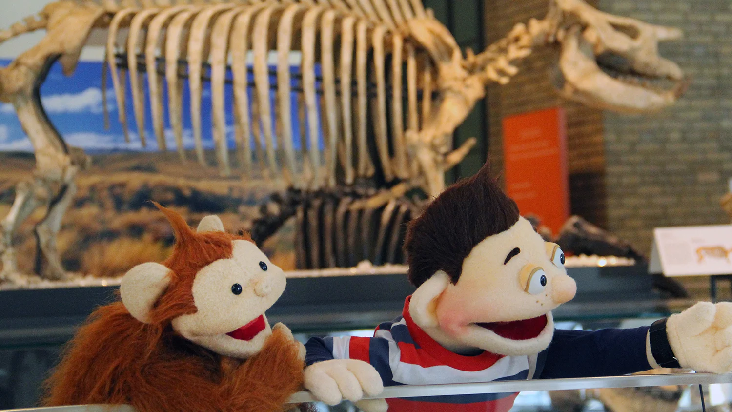 Howie Baboo Dinosaur Exhibit.jpg