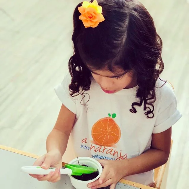 Van Gogh... A la naranja... una caricia para el alma!