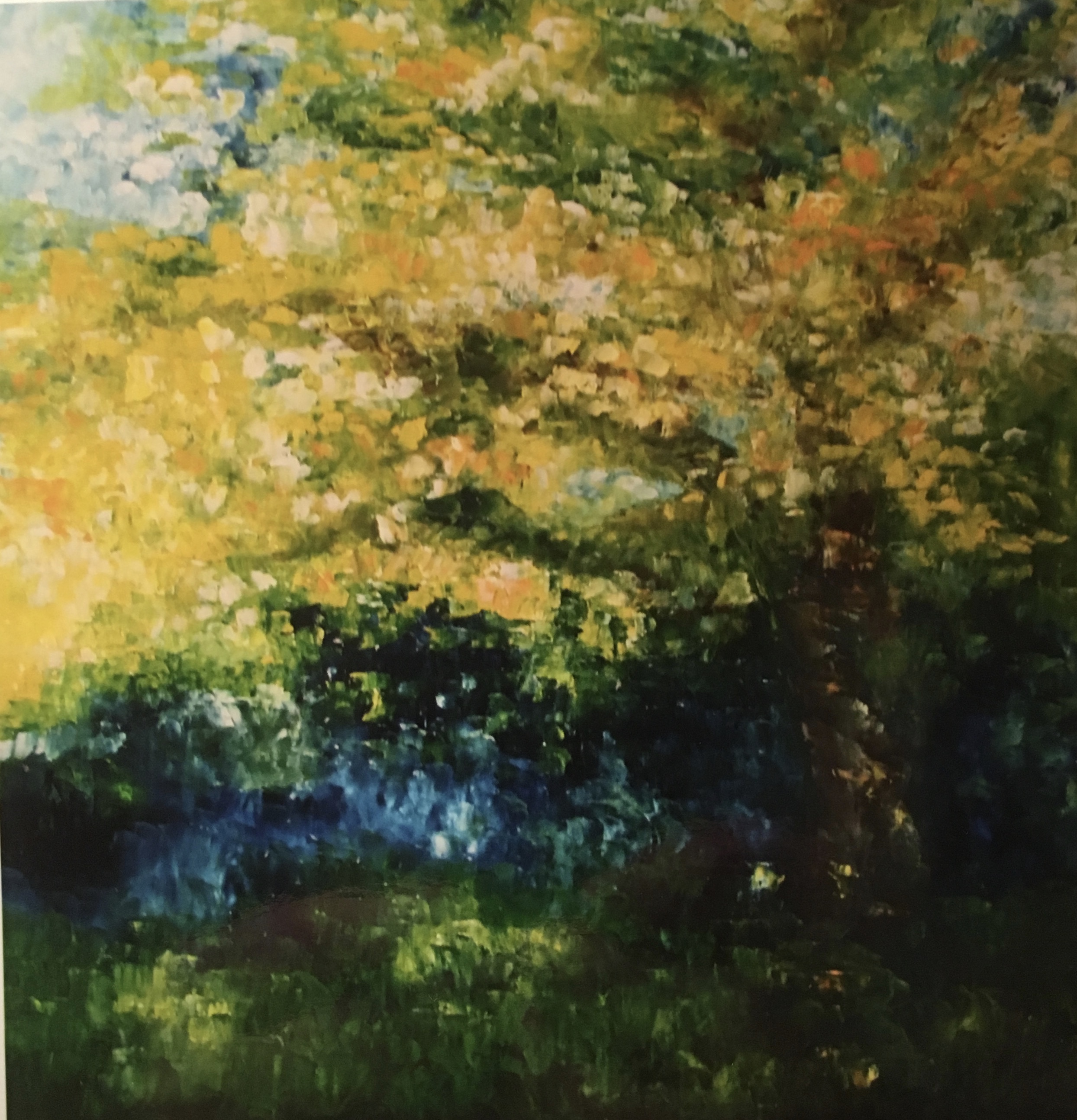 The Oak Tree in Summer 36x36 Sold