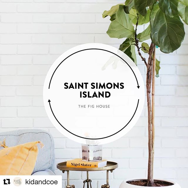We love our Kid and Coe family! Thank you for featuring The Fig House! Link to book ⬆️. Make sure to check out all of the amazing properties Kid and Coe has to offer! #saintsimonsisland #saintsimonsislandrental #vacationrental #kidfriendlyrental #hea