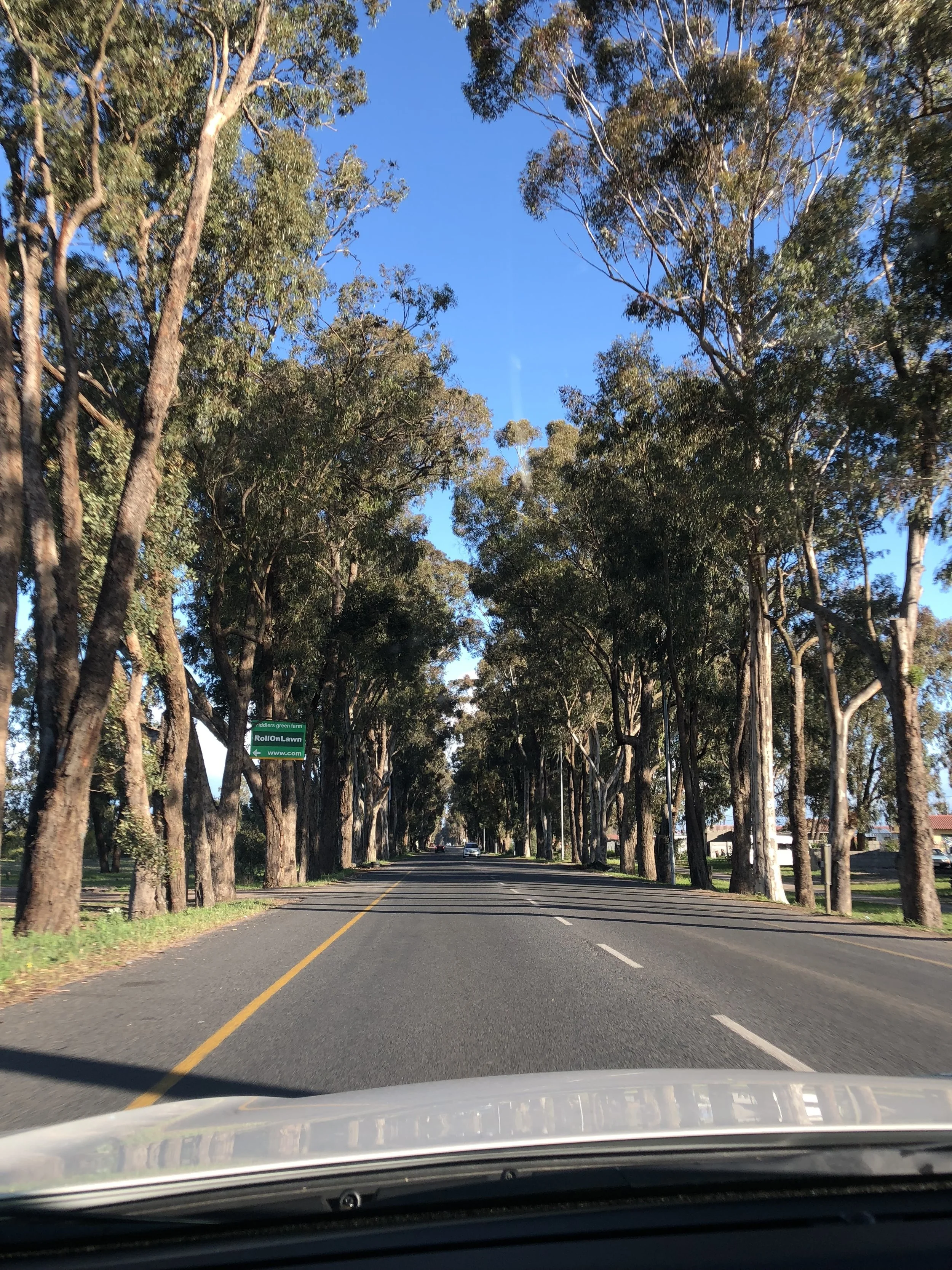 The road less travelled