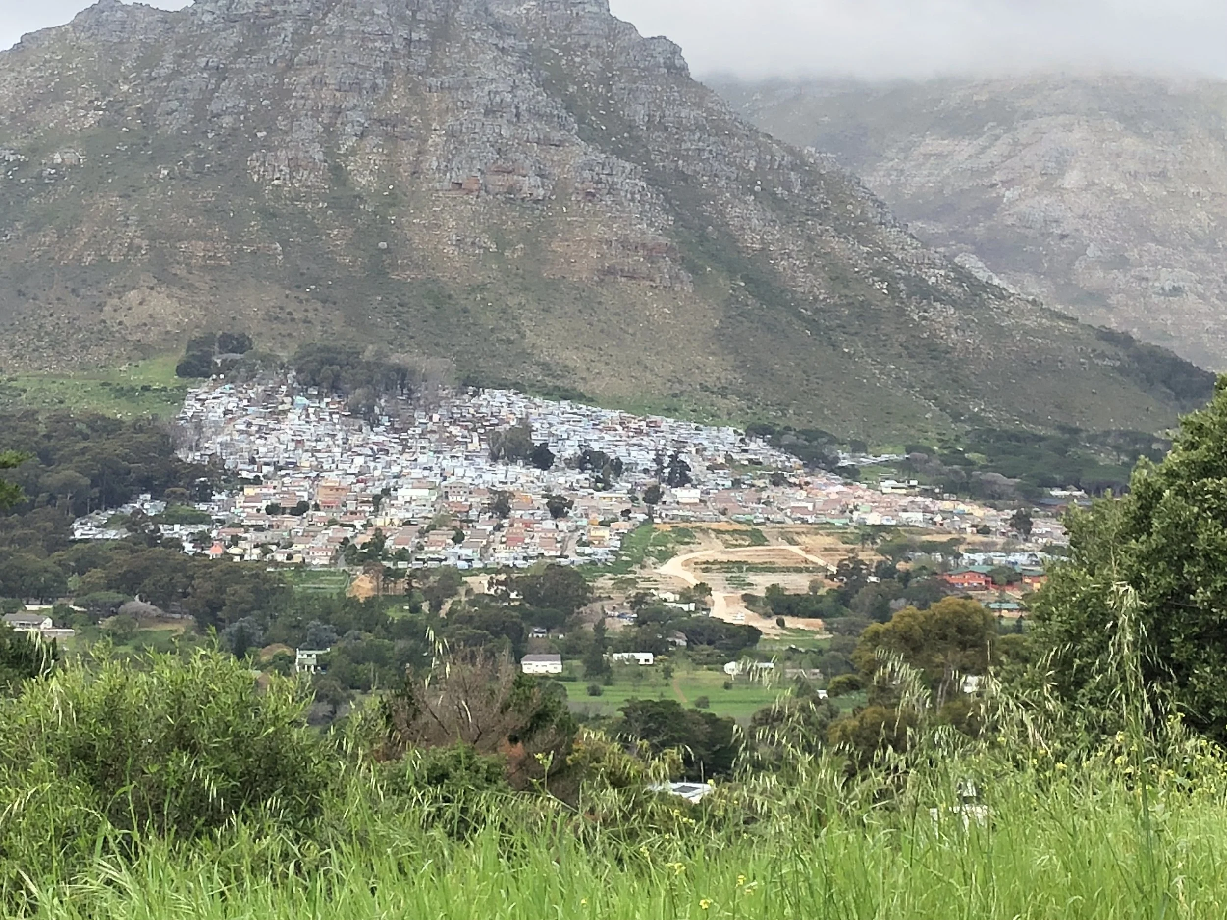 Observations from 11 weeks in